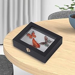 IHEIPYE Insect Display Case Wall Mount Bug Display