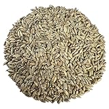 100% Organic Rye