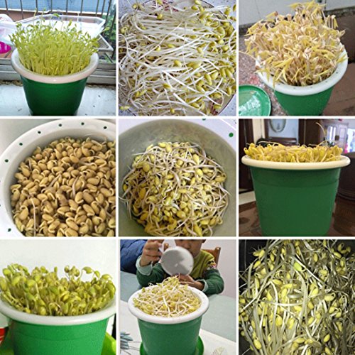 Petforu Bean Sprouts Maker Maifan Stone Sprouting Machine Vegetables Planter Pot (Small)