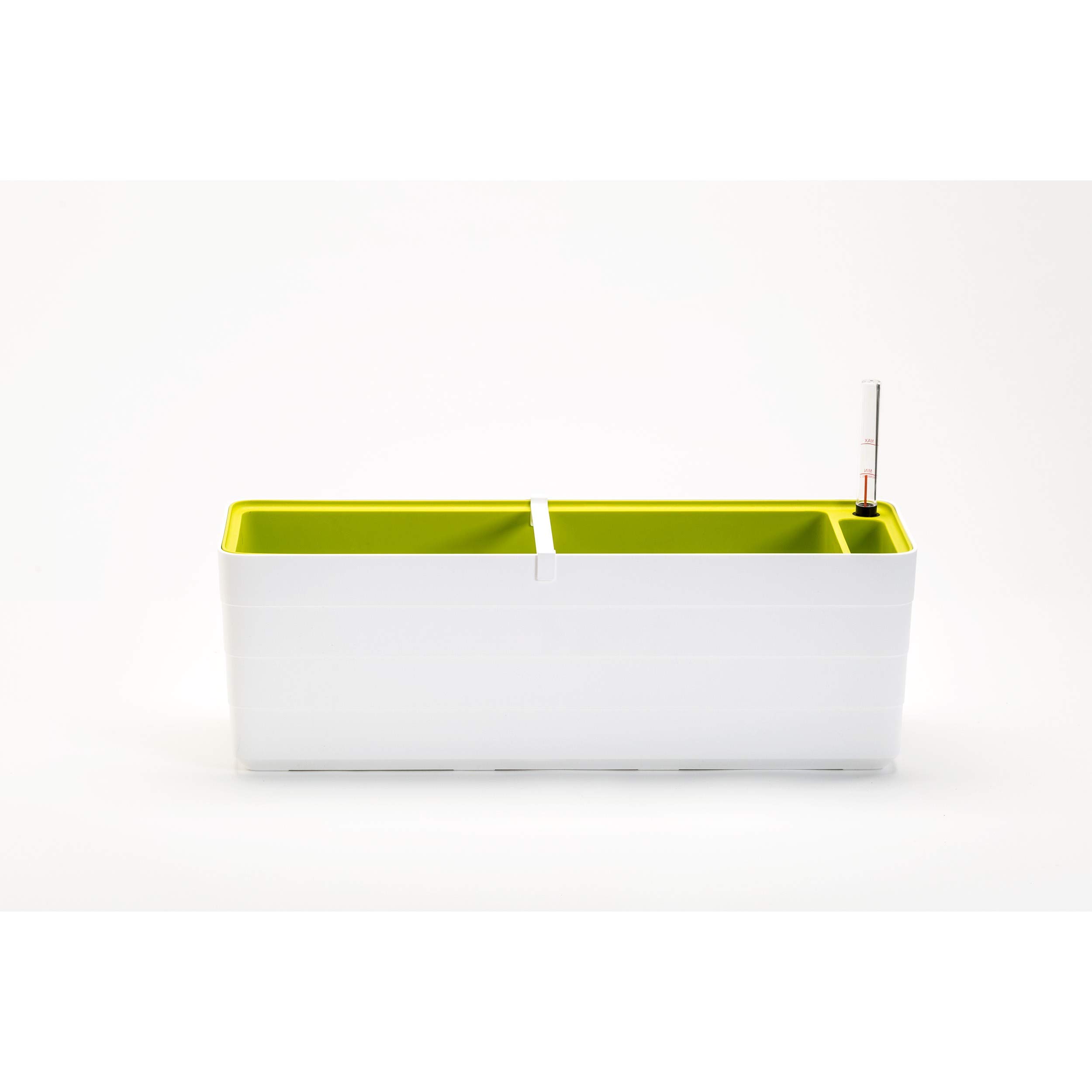 Plastia Urbalive Berberis - 60cm - White And Green, 18-025-410