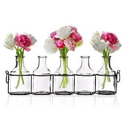 Small Bud Glass Vases in Black Metal Rack Stand, Window-Sill Display Set of 5 Crystal Clear Flower Vase, Decorative Centerpiece for Home or Wedding