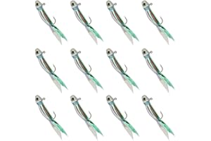 YZD Silverside Minnow Crappie Jig 12pcs