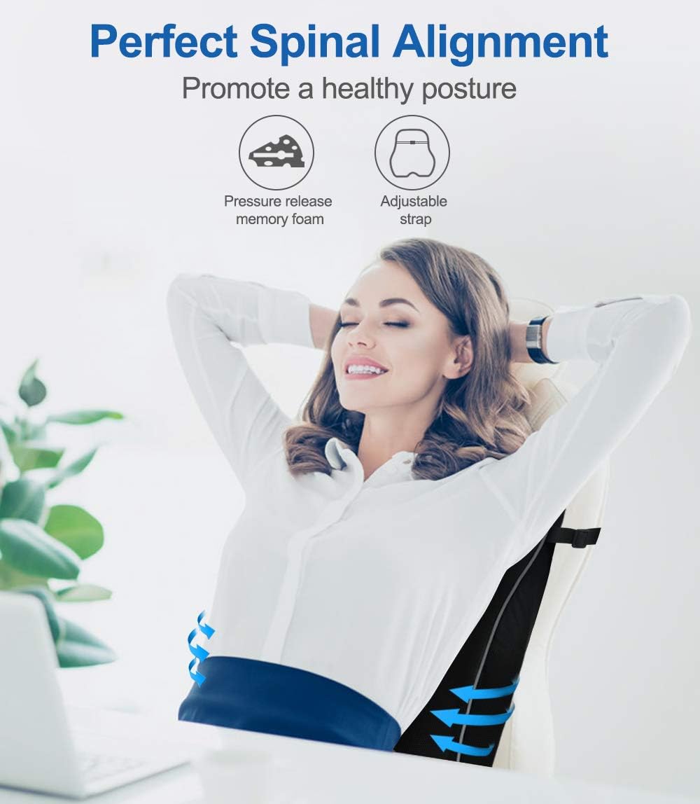 Villsure Lumbar Support Pillow, Memory Foam Back Cushion Pillow for Office Chair,Computer/Car Seat and Wheelchair with Breathable 3D Mesh,Ergonomic Orthopedic Backrest for Back Pain Relief: Home & Kitchen