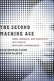 The Second Machine Age: Work, Progress, and Prosperity in a Time of Brilliant Technologies