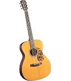 Amazon.com: Blueridge BR-140 Historic Series Dreadnought Acoustic