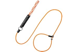 Raipult Slip Lead Dog Leash, 6FT Durable Slip Leash with Metal Stopper, Strong Nylon Braided Rope Dog Leash with Comfortable Leather Handle, Dog Training Leash Slip Leads for All Breeds,Orange