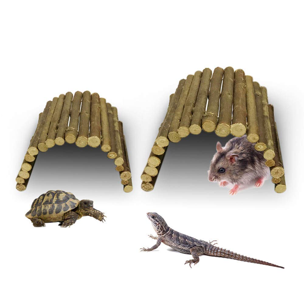 lizard habitat accessories