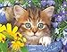 Springbok Puzzle to Remember - Alzheimer & Dementia Activity - 36 Piece Jigsaw Puzzle Garden Helper - Made in USA