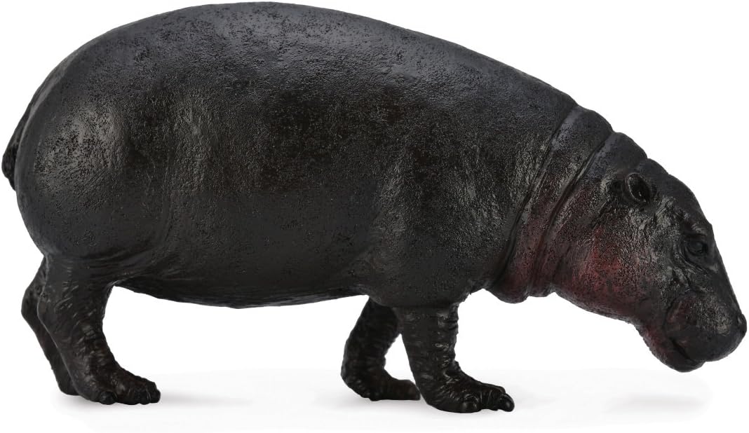 Collecta Figure Hippo Pygmy (88686) Amazon.co.uk Toys & Games