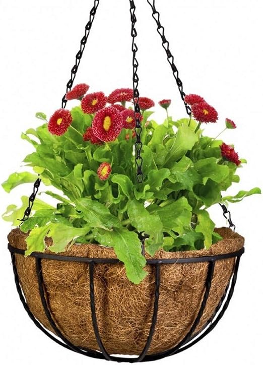 XHZJZMZS Colgador De Plantas 2 Piezas De Coco Forjado Maceta ...