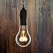 SEALIGHT Vintage Flexible LED Filament Bulb A19