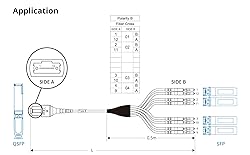 10Gtek Fiber Optic Cable Patch Cord - MPO to 8X LC
