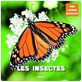 Les insectes by 