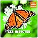 Les insectes by 