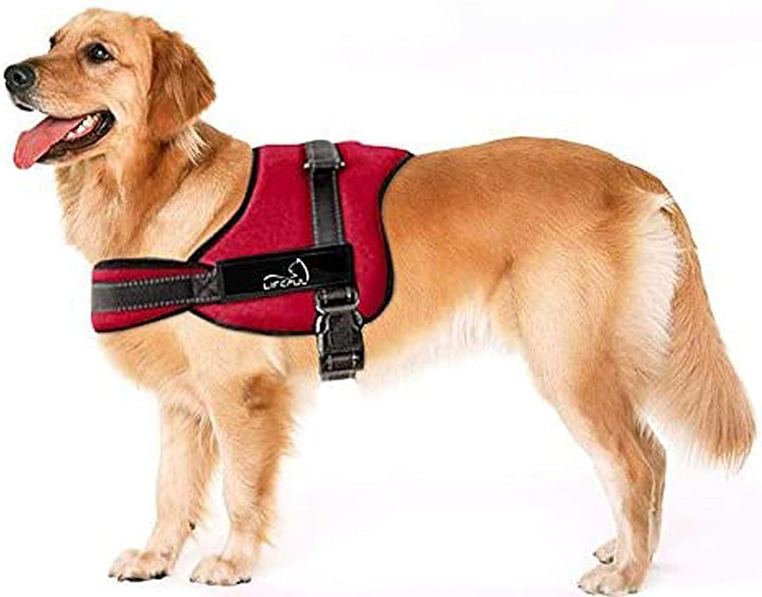 dog pulling harness amazon