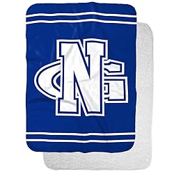 University of North Georgia Primary Logo Stripes