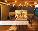 Outdoor String Lights with Edison Vintage Dimmable 11S14 Bulbs, SHINE HAI Commercial & Industrial Grade Light String, 10 Dropped Sockets, Weatherproof, Perfect for Patio Cafe Umbrella Bistro Yard-14Ft