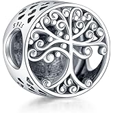 Simphman Birthday Family Mom Charm 925 Sterling Silver Charms for Bracelets and Necklaces Bead Charms Jewelry Charm for Women Family Friends