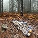 The Friendly Swede Paracord Pouch – Premium Emergency Shelter Survival Kit with Rescue Blanket and Sleeping Bag - Survival Bag with Survival Blanket for Ultralight Backpacking, Car & Tactical Tent