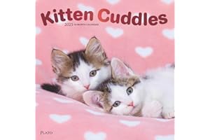 Kitten Cuddles | 2025 12 x 24 Inch Monthly Square Wall Calendar | Foil Stamped Cover | Plato | Animals Cute Cat Feline