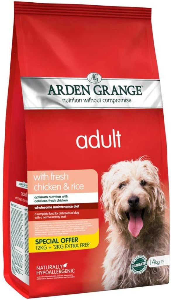 dog tooth decay treatment