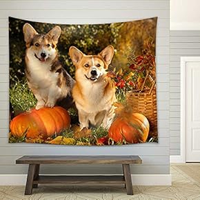 Welsh Corgi Pembroke Dog - Fabric Wall Tapestry Home Decor - 51x60 inches
