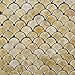 Honey Onyx Fan Mosaic Tile, Polished - 6