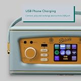 Roberts Revival iSTREAM 3L FM DAB DAB+ Internet Radio Bluetooth Duck Egg view 6