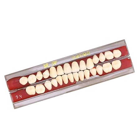 SUPVOX 1 Box Zähne Reparatur Set Arzt Dental Material Zahnprothese (Second Grade 23)