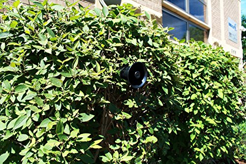 Bird-X GooseBuster PRO Goose Repeller, Covers 1.5 Acres