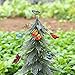 Ginsco 12pcs Colorful 3D Wings Butterfly Stakes Yard Patio Garden Plant Pot Flower Bed Decor Miniature Fairy Garden Butterflies Decorations