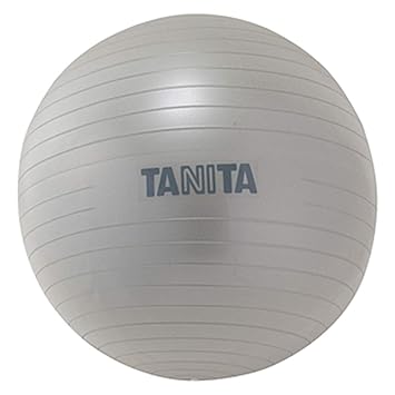 【クリックで詳細表示】TANITA タニタサイズ ジムボール バランスボール TS-962 (シルバー)65cm