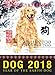 Fortune & Feng Shui 2018 DOG