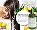 BOTANICAL HAIR GROWTH LAB - Anti-Hair Loss Shampoo - Extra Strength - Ginger Saw Palmetto - Alopecia Postpartum DHT Blocker - 10.2 Fl Oz (Pack of 1)