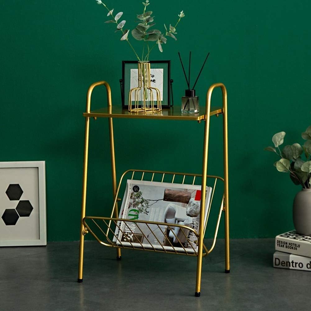 Tiita Gold Metal Side Table Two-Tier End-Table Magazine Storage Accent Table for Sofa, Bedroom,Living Room(Gold): Kitchen & Dining