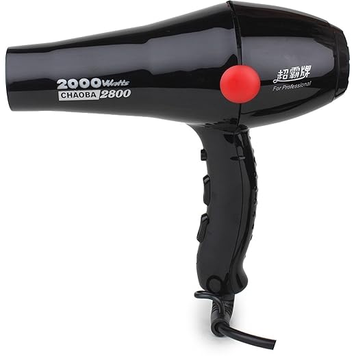 Low Price Professional Hair Dryer (Black)