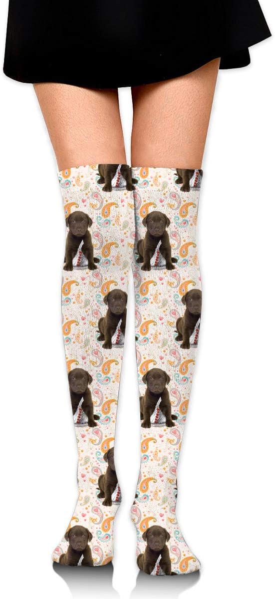 Knee High Socks Chocolate Lab Kisses Long Socks Boot Stocking Compression Socks For Women
