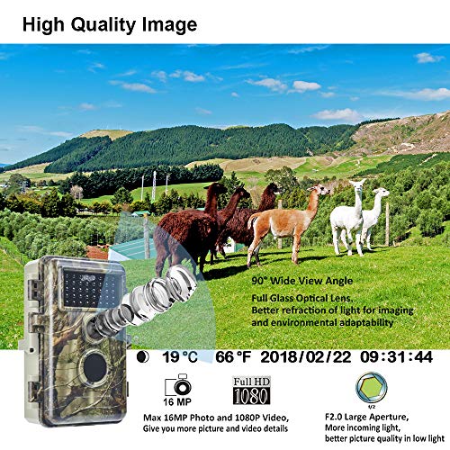 Meidase Trail Camera 16MP 1080P, Game Camera with No Glow Night Vision Up to 65ft, Hunting Camera with Motion Activated, 2.4" Color Screen and Unique Keypad, Waterproof Wildlife Camera