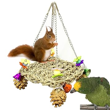 Honey Momo Bird Toy Bird Accessories Pet Bird Parrot Pine Cone