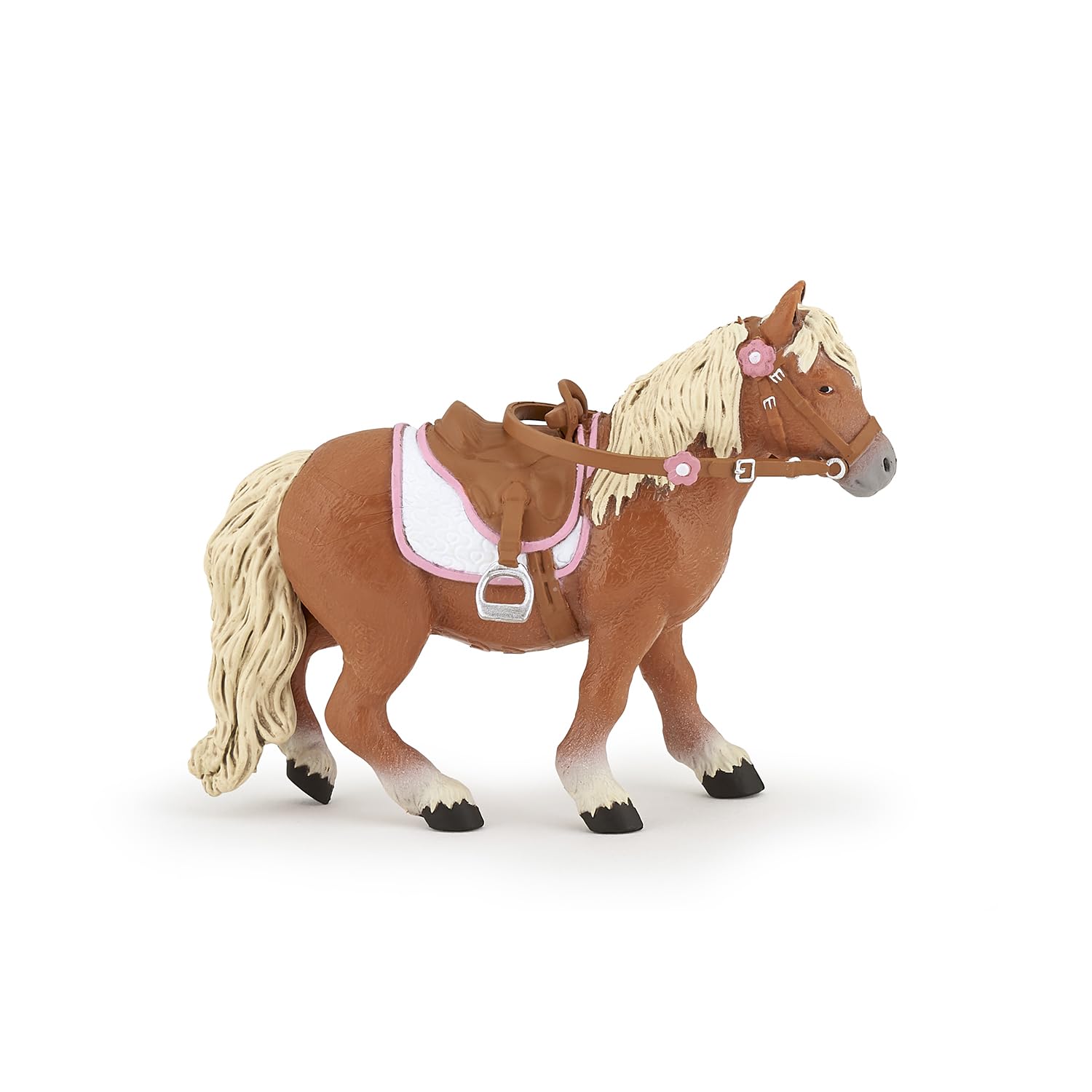 Shetland pony with saddle