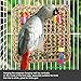 Wieppo Bird-Foraging-Toy-Perch Net – Woven Seagrass Mat Hammock Bird Toy, Hanging Hook Wall Bird Toys for Cockatoo,Cockatiels-Conure-Budgie-Parakeet-Lovebird-Parrotlets, Jendaythumb 1