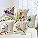 Flatworld Throw Pillow Case Decorative Natural Birds Covers (Hummingbird)