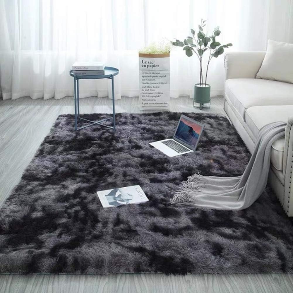 Dkhsy Shaggy Fluffy Area Rugs Carpets for Baby Nursery Teens Girls Rooms Plush Shag Rugs for Kids Bedrooms Home Room Floor Accent Decor Fur Rug