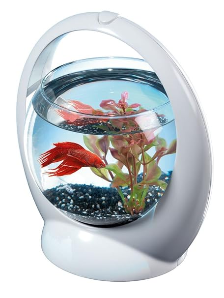 Tetra Fish The Aquarium Betta 1 8 Litre Ring Pack Of 1pz Amazon