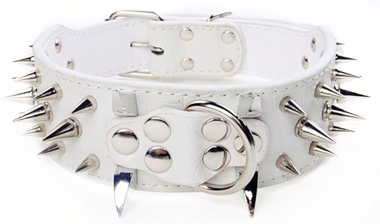silver leather dog collar