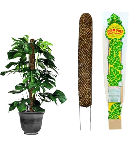 Amazon.com : Mosser Lee ML1010H Totem Pole Plant Support, 24
