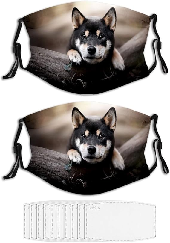Shiba Inu Face Mask Running Animal Dog Masks for Adult N2124 at Amazon