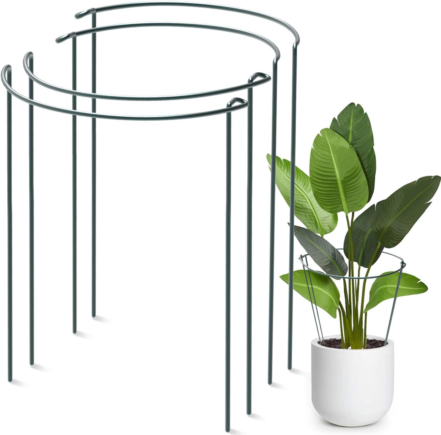 EAPFCT Plant Support Stake Half Round Metal Garden Plant