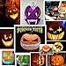 Pumpkin Carving Kit – Stainless Steel Tools with 10 Carving Stencils 2 LED Pumpkin Lights Pumpkin Cutting Supplies Tools Set for kids&adult Stainless Steel Halloween Decoratio Jack-O’-Lantern (39 PCS Luxury Set)