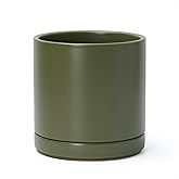D'vine Dev 8.2 Inch Ceramic Planter Pot with Drainage Hole and Saucer, Indoor Cylinder Round Planter Pot, Olive, 94-O-D-J